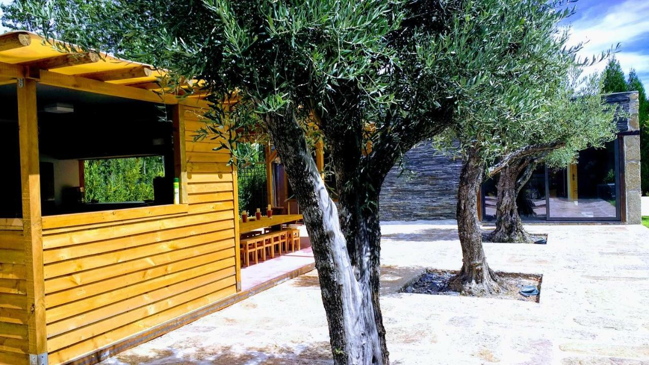 Casa Do Prado Guesthouse Vila Real Eksteriør billede